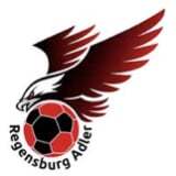 MVZ Regensburg - Logo Regensburg Adler